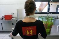 FEST NOZ SAINT AUBIN 10 MAI : encore un excellent cru