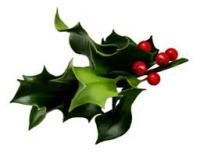 Bonne année à tous