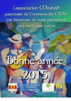 Bonne année 2015